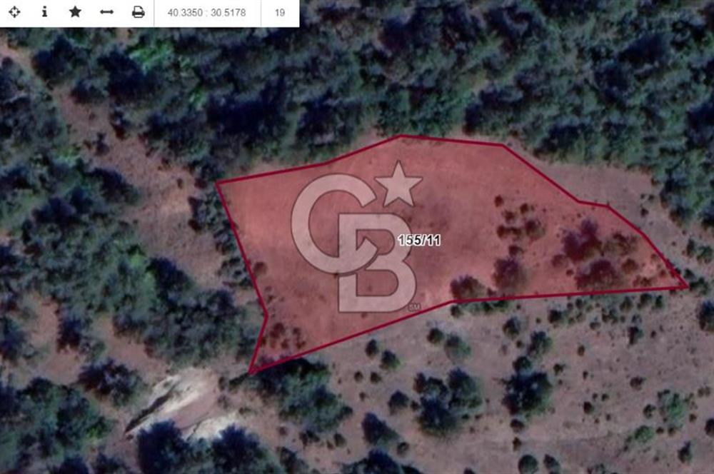 Taraklı Hacıaliler Köyünde Satılık 3346 M2 Tarla
