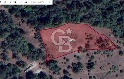 Taraklı Hacıaliler Köyünde Satılık 3346 M2 Tarla