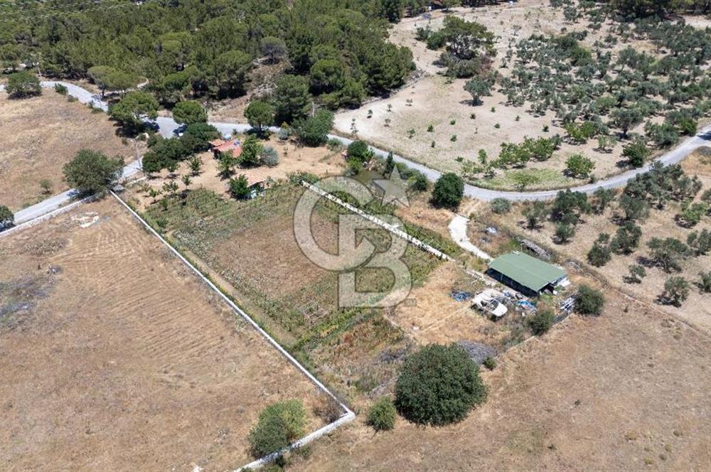 URLA BİRGİ'DE KÖŞE KONUMLU SATILIK TARIM ARAZİSİ Favorilerime Ekle Yazdır