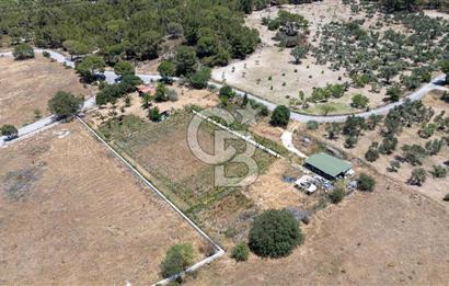 URLA BİRGİ'DE KÖŞE KONUMLU SATILIK TARIM ARAZİSİ Favorilerime Ekle Yazdır