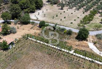 URLA BİRGİ'DE KÖŞE KONUMLU SATILIK TARIM ARAZİSİ Favorilerime Ekle Yazdır