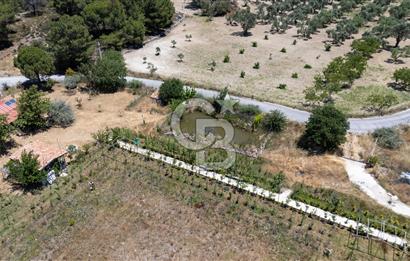 URLA BİRGİ'DE KÖŞE KONUMLU SATILIK TARIM ARAZİSİ Favorilerime Ekle Yazdır