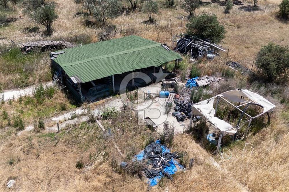 URLA BİRGİ'DE KÖŞE KONUMLU SATILIK TARIM ARAZİSİ Favorilerime Ekle Yazdır