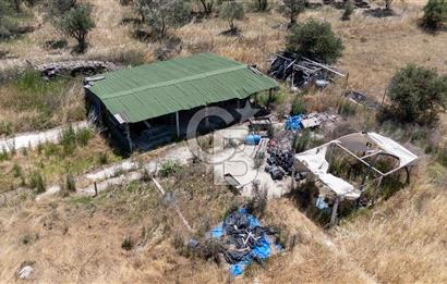 URLA BİRGİ'DE KÖŞE KONUMLU SATILIK TARIM ARAZİSİ Favorilerime Ekle Yazdır