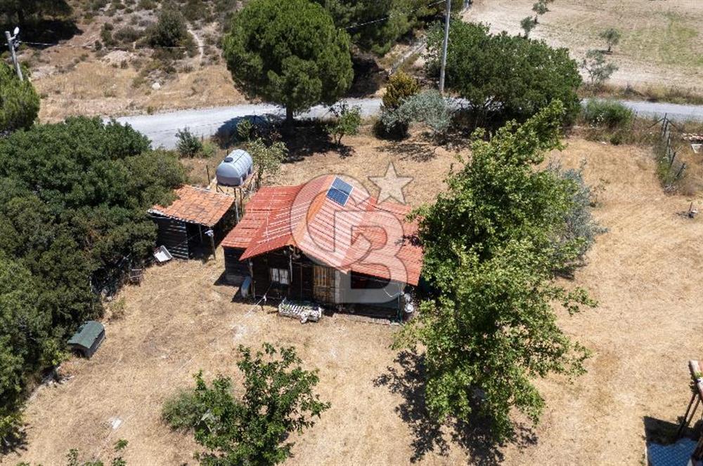 URLA BİRGİ'DE KÖŞE KONUMLU SATILIK TARIM ARAZİSİ Favorilerime Ekle Yazdır