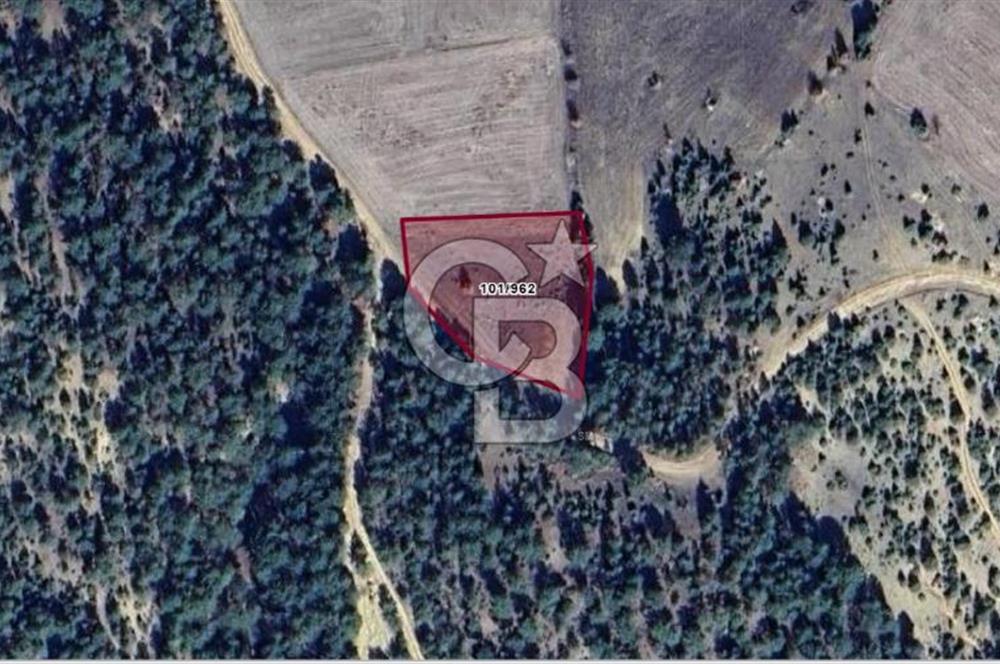 Kütahya/Altıntaş/Oysu Mahallesinde Ormana Sınır 2673 M2 Tarla