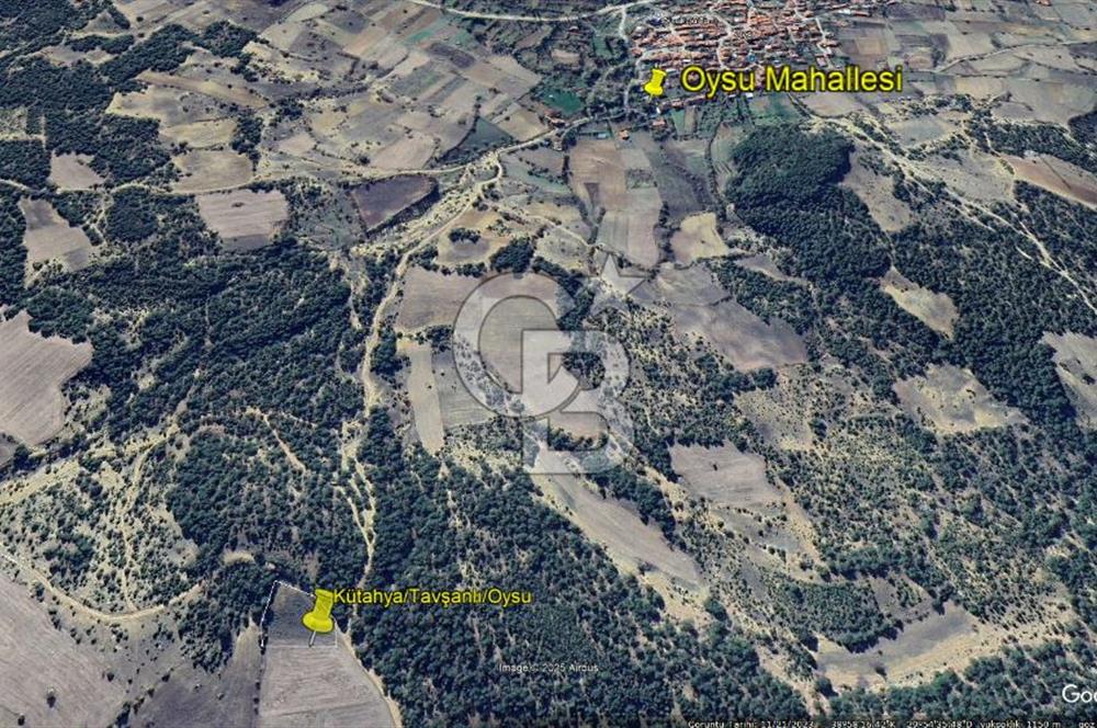 Kütahya/Altıntaş/Oysu Mahallesinde Ormana Sınır 2673 M2 Tarla