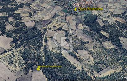Kütahya/Altıntaş/Oysu Mahallesinde Ormana Sınır 2673 M2 Tarla