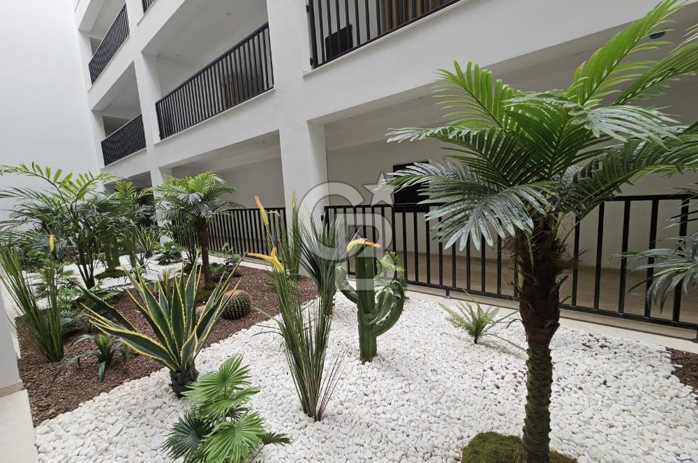 Privatus Ayvalık Oliva Mare'de Denize Sıfır Kiralık 3+1 Daire
