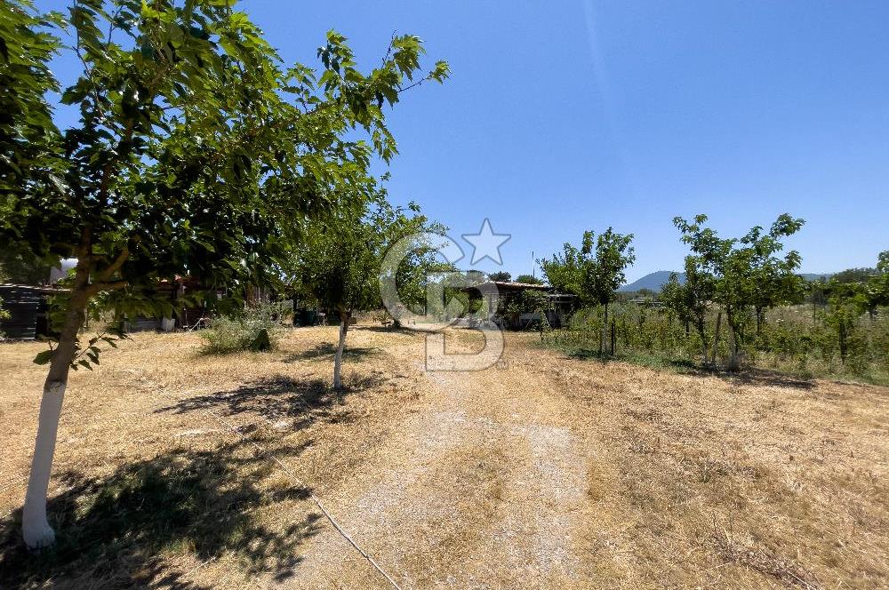 URLA BİRGİ'DE KÖŞE KONUMLU SATILIK TARIM ARAZİSİ Favorilerime Ekle Yazdır