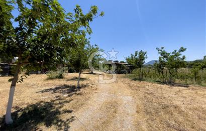 URLA BİRGİ'DE KÖŞE KONUMLU SATILIK TARIM ARAZİSİ Favorilerime Ekle Yazdır