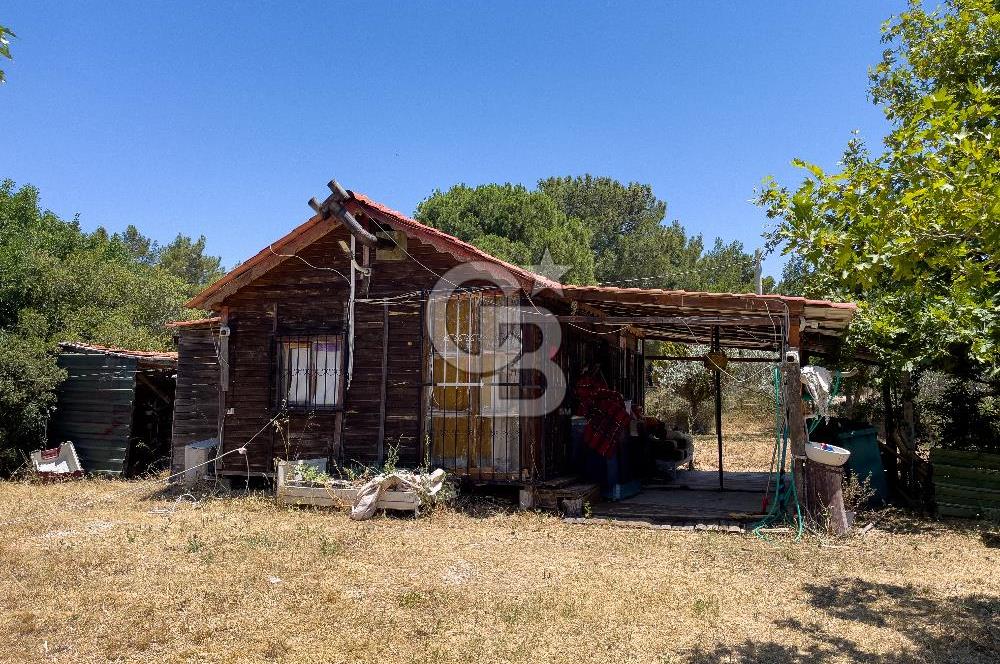URLA BİRGİ'DE KÖŞE KONUMLU SATILIK TARIM ARAZİSİ Favorilerime Ekle Yazdır