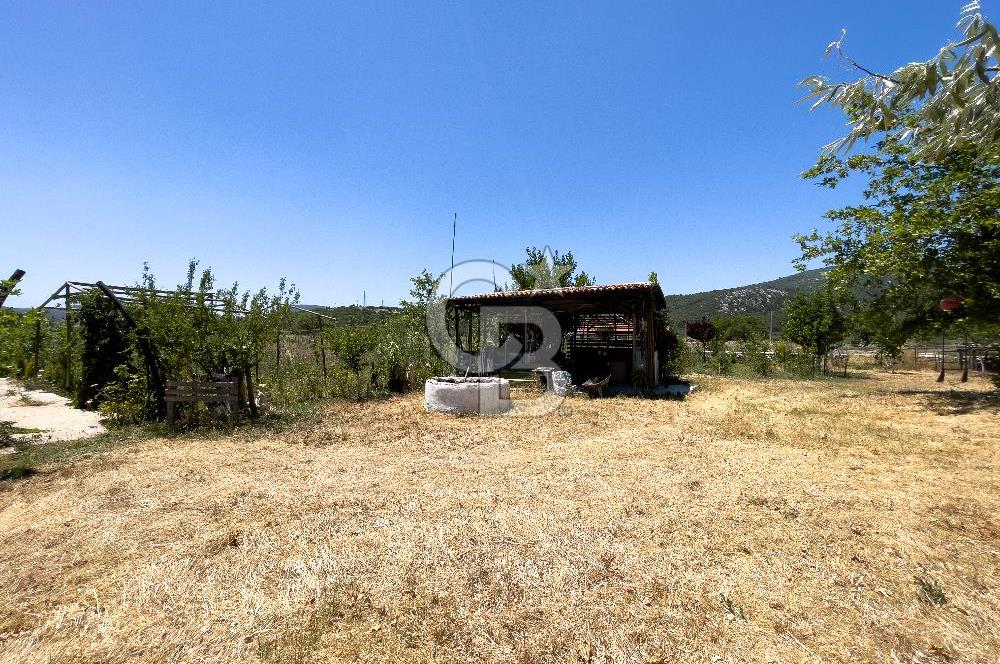 URLA BİRGİ'DE KÖŞE KONUMLU SATILIK TARIM ARAZİSİ Favorilerime Ekle Yazdır
