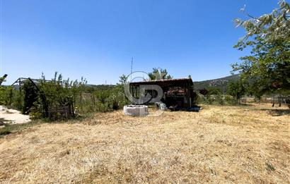 URLA BİRGİ'DE KÖŞE KONUMLU SATILIK TARIM ARAZİSİ Favorilerime Ekle Yazdır
