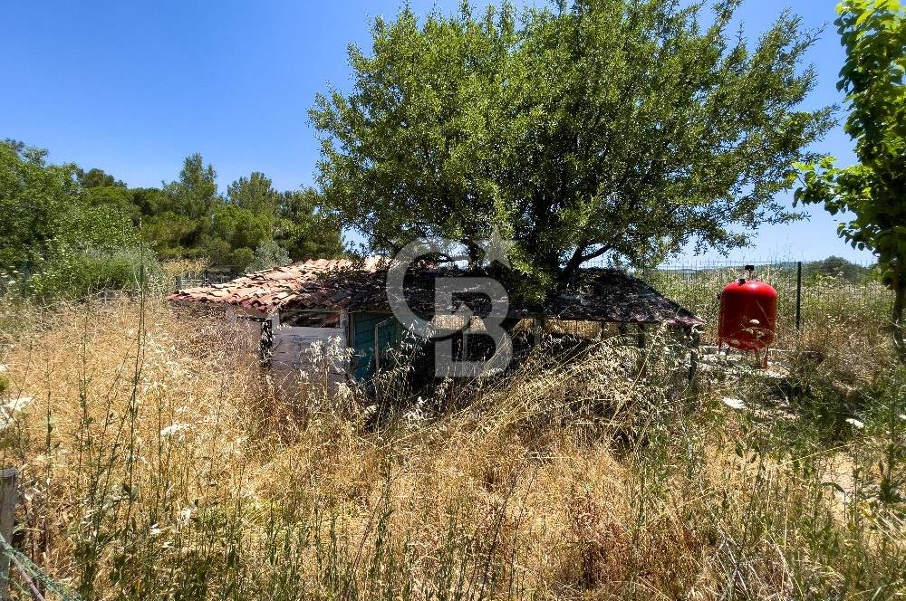 URLA BİRGİ'DE KÖŞE KONUMLU SATILIK TARIM ARAZİSİ Favorilerime Ekle Yazdır