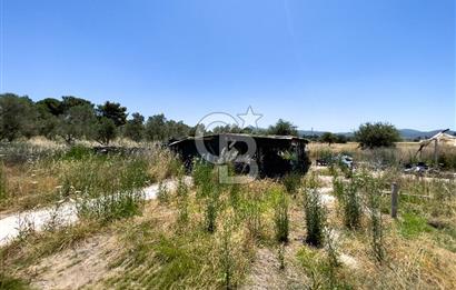 URLA BİRGİ'DE KÖŞE KONUMLU SATILIK TARIM ARAZİSİ Favorilerime Ekle Yazdır
