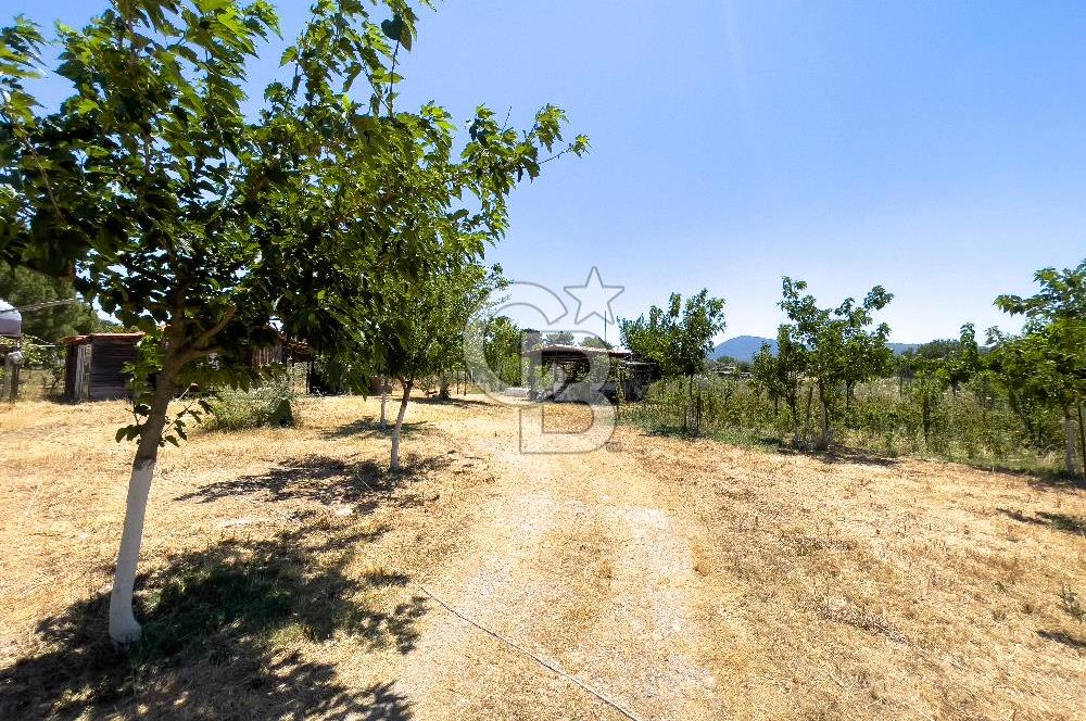 URLA BİRGİ'DE KÖŞE KONUMLU SATILIK TARIM ARAZİSİ Favorilerime Ekle Yazdır