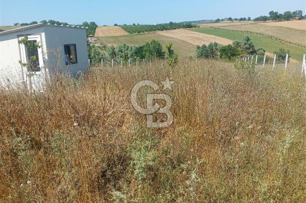 Kocaeli Kandıra'da Satılık 1169 m² Etrafı Çevrili Tarla