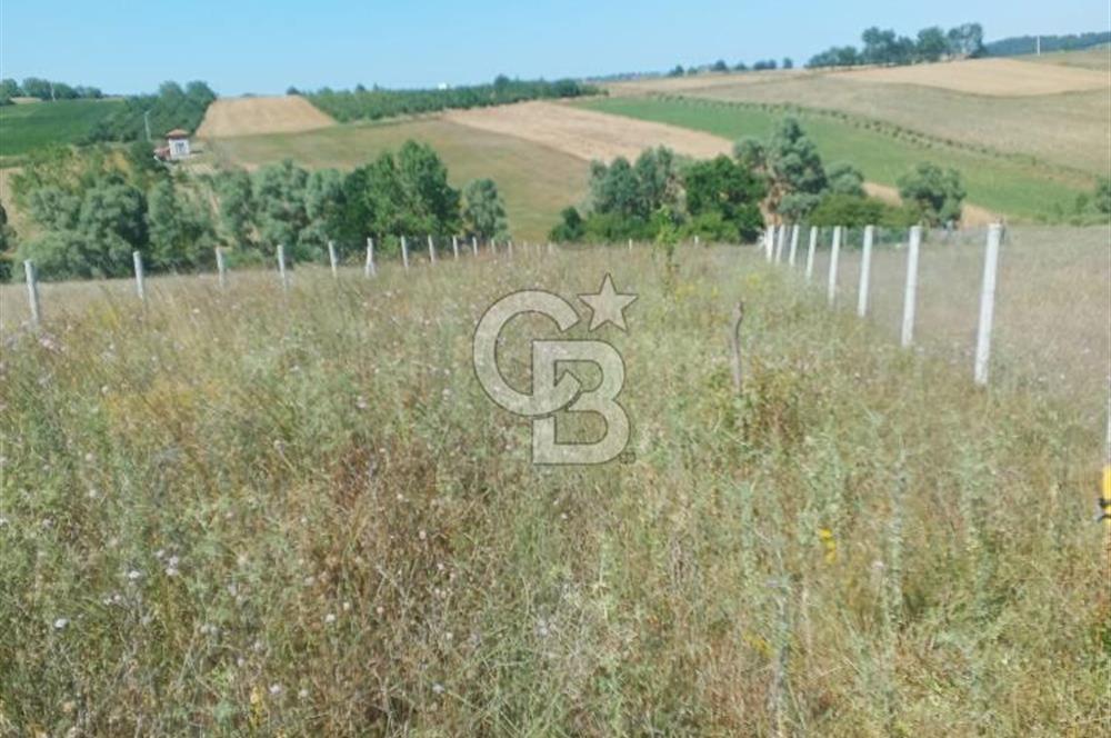 Kocaeli Kandıra'da Satılık 1169 m² Etrafı Çevrili Tarla