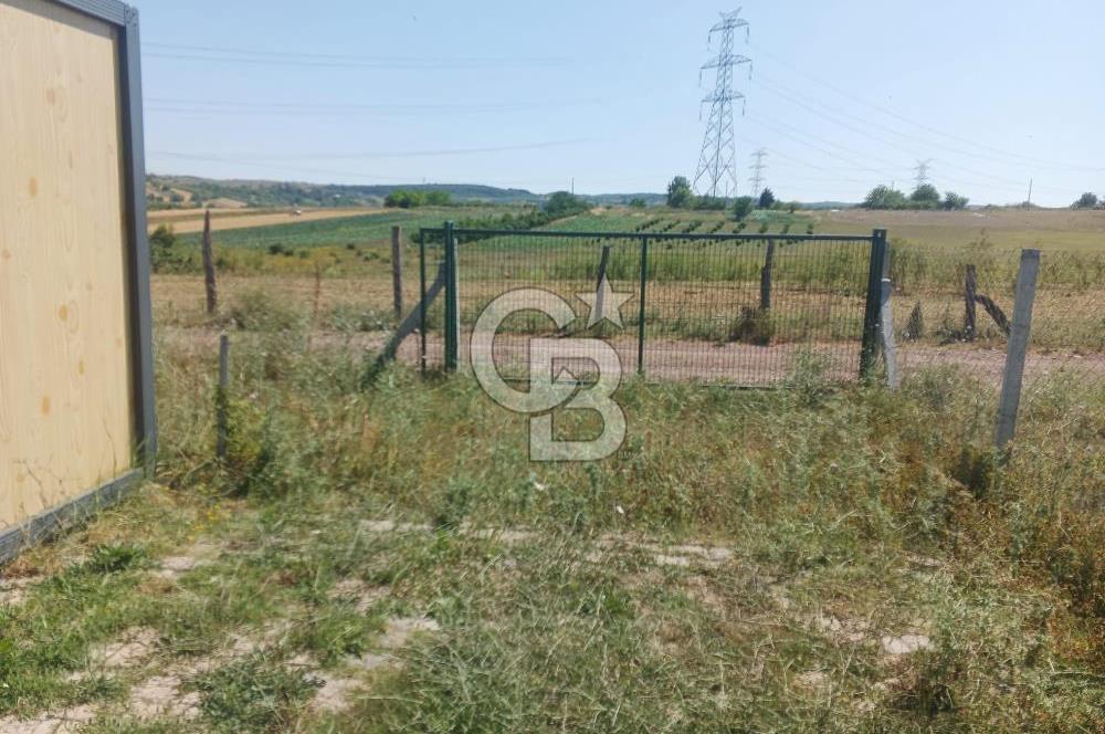 Kocaeli Kandıra'da Satılık 1169 m² Etrafı Çevrili Tarla