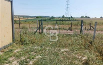 Kocaeli Kandıra'da Satılık 1169 m² Etrafı Çevrili Tarla