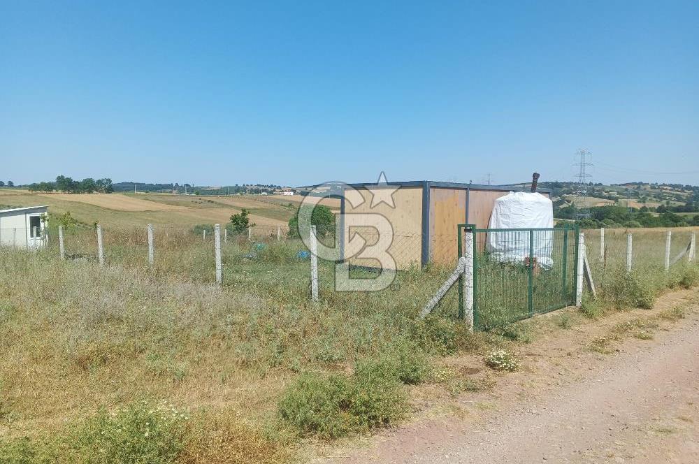 Kocaeli Kandıra'da Satılık 1169 m² Etrafı Çevrili Tarla