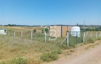 Kocaeli Kandıra'da Satılık 1169 m² Etrafı Çevrili Tarla