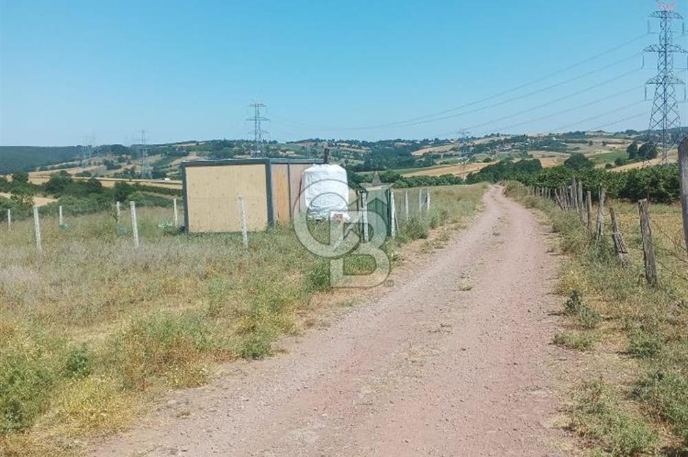 Kocaeli Kandıra'da Satılık 1169 m² Etrafı Çevrili Tarla