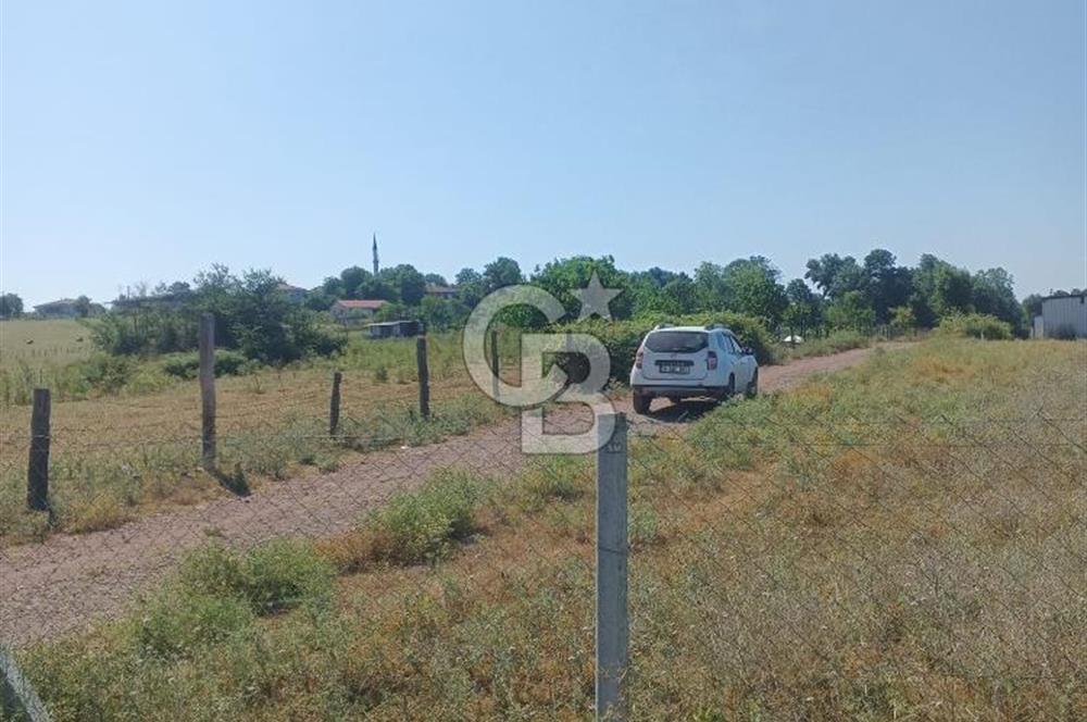 Kocaeli Kandıra'da Satılık 1169 m² Etrafı Çevrili Tarla