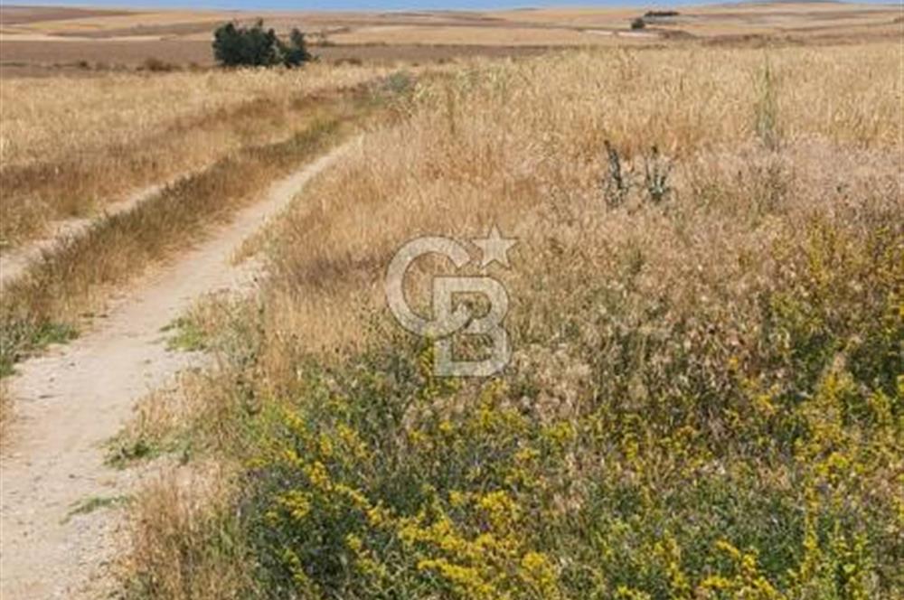 CB CITY'DEN ESKİŞEHİR KAYMAZ'DA SATILIK TARLA