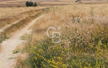 CB CITY'DEN ESKİŞEHİR KAYMAZ'DA SATILIK TARLA