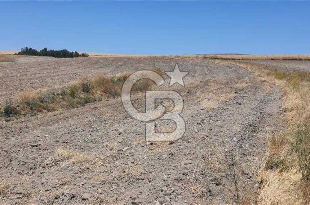 CB CITY'DEN ESKİŞEHİR KAYMAZ'DA SATILIK TARLA