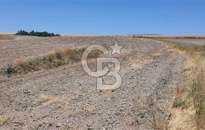 CB CITY'DEN ESKİŞEHİR KAYMAZ'DA SATILIK TARLA