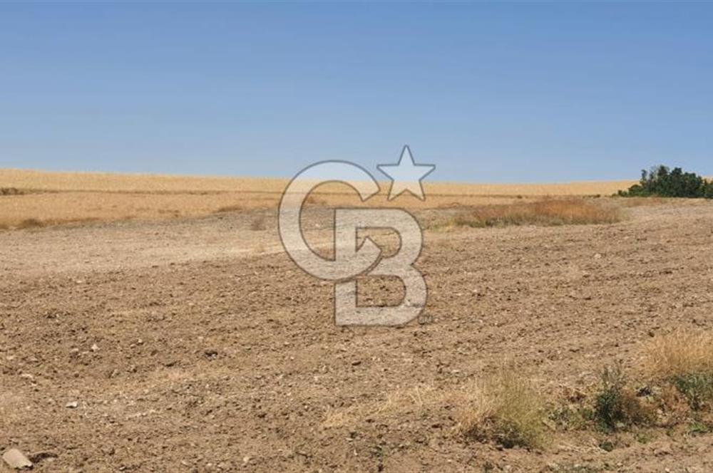CB CITY'DEN ESKİŞEHİR KAYMAZ'DA SATILIK TARLA