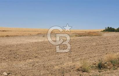 CB CITY'DEN ESKİŞEHİR KAYMAZ'DA SATILIK TARLA