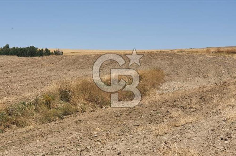 CB CITY'DEN ESKİŞEHİR KAYMAZ'DA SATILIK TARLA