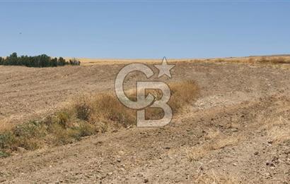 CB CITY'DEN ESKİŞEHİR KAYMAZ'DA SATILIK TARLA