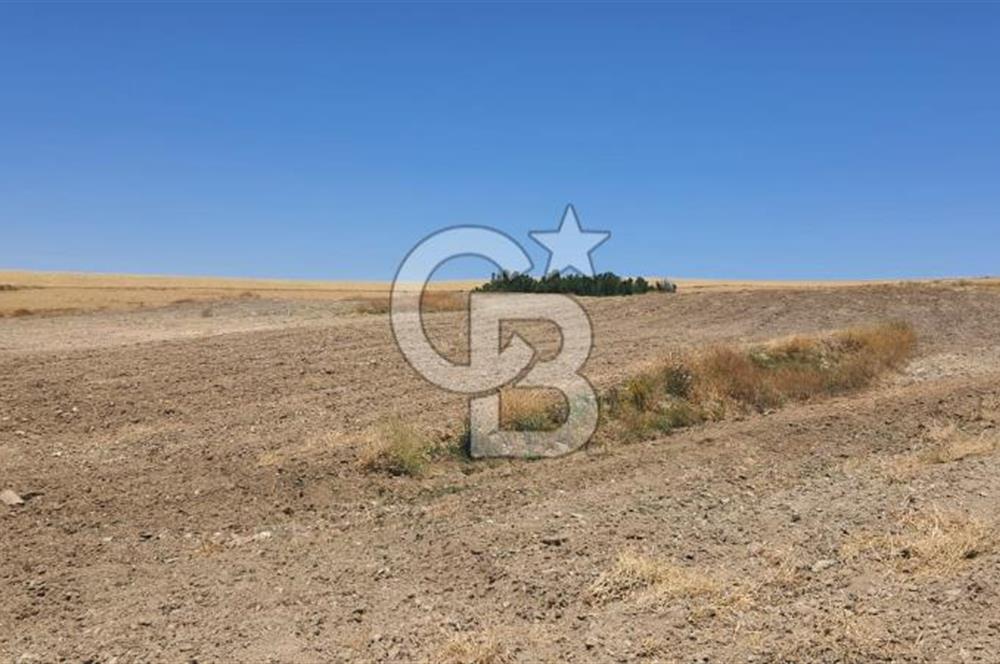CB CITY'DEN ESKİŞEHİR KAYMAZ'DA SATILIK TARLA