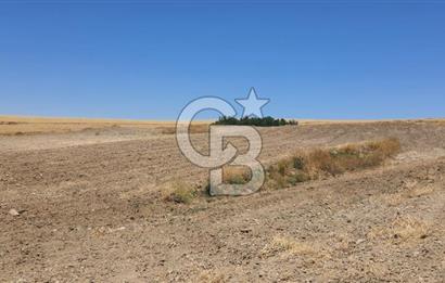 CB CITY'DEN ESKİŞEHİR KAYMAZ'DA SATILIK TARLA