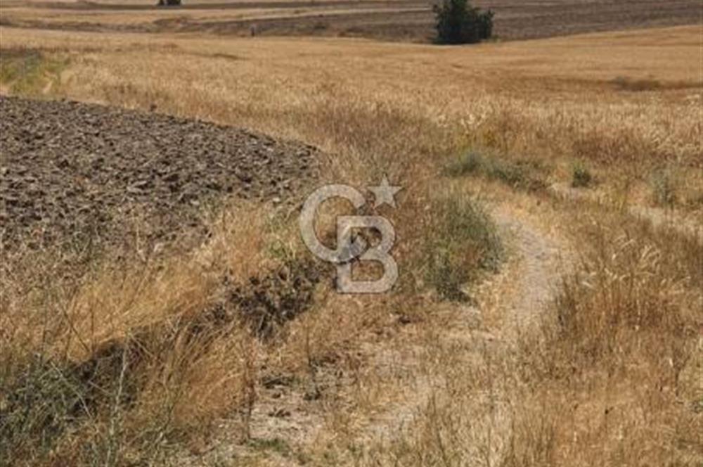 CB CITY'DEN ESKİŞEHİR KAYMAZ'DA SATILIK TARLA