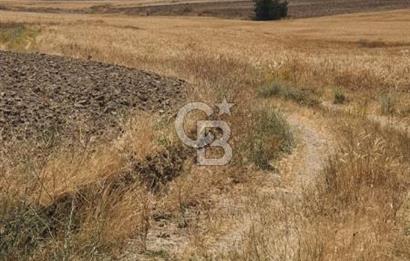 CB CITY'DEN ESKİŞEHİR KAYMAZ'DA SATILIK TARLA