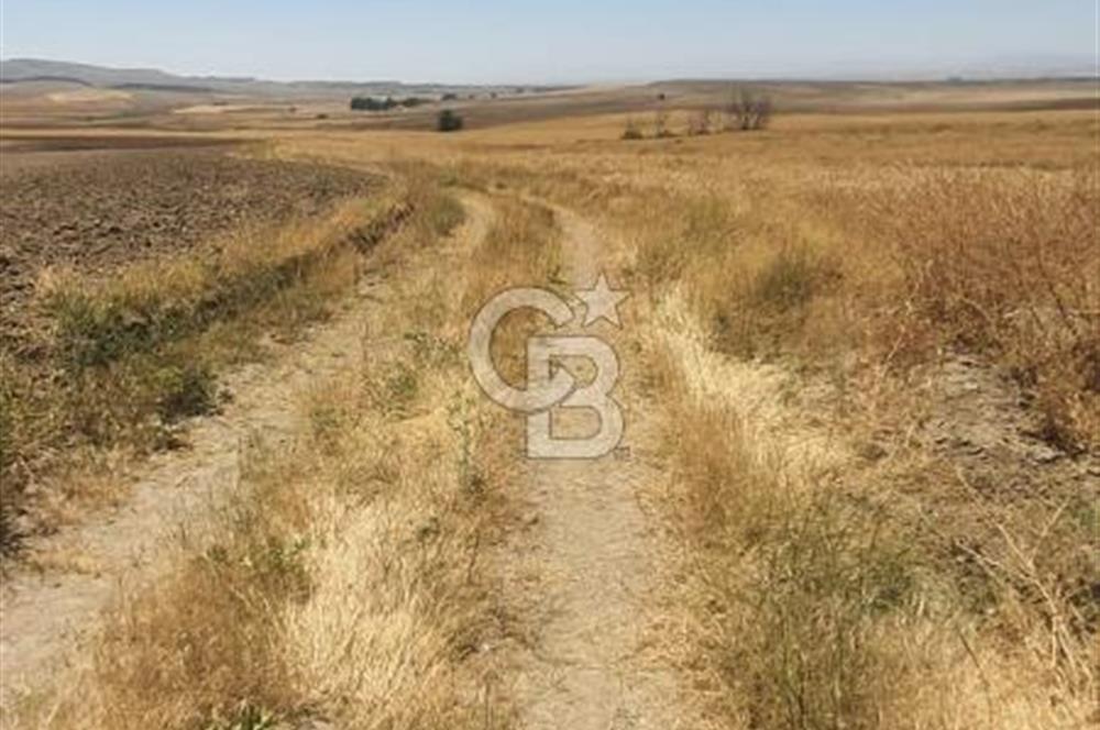 CB CITY'DEN ESKİŞEHİR KAYMAZ'DA SATILIK TARLA