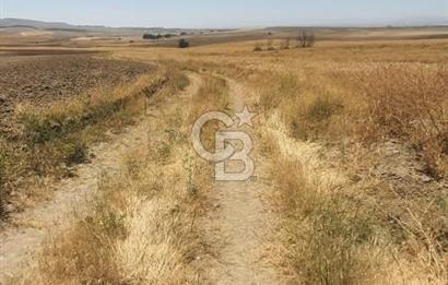 CB CITY'DEN ESKİŞEHİR KAYMAZ'DA SATILIK TARLA