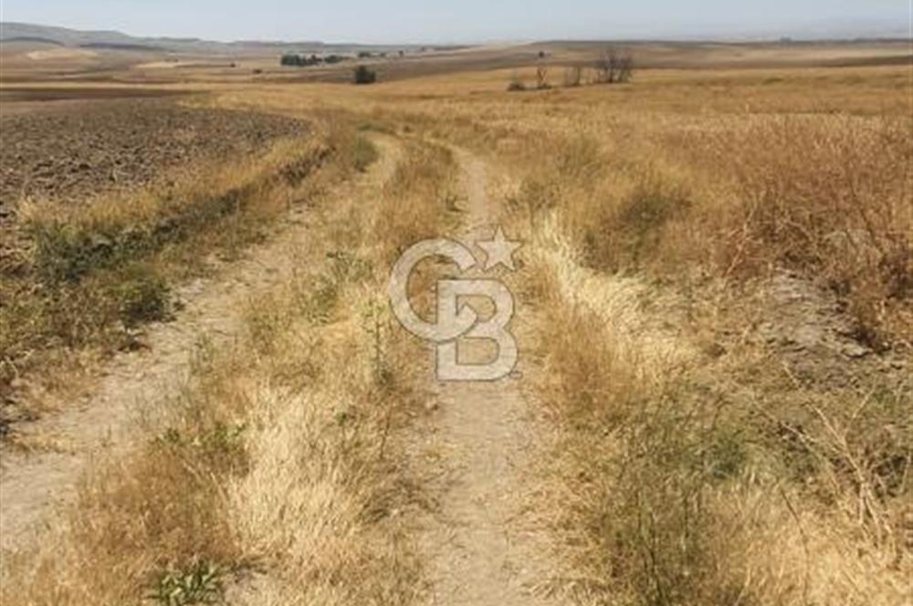 CB CITY'DEN ESKİŞEHİR KAYMAZ'DA SATILIK TARLA