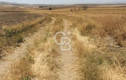 CB CITY'DEN ESKİŞEHİR KAYMAZ'DA SATILIK TARLA