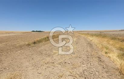 CB CITY'DEN ESKİŞEHİR KAYMAZ'DA SATILIK TARLA