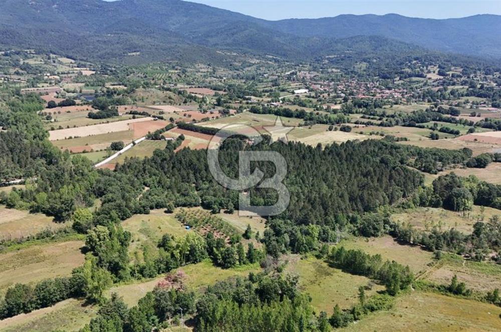 Çanakkale Yenice Aşağıçavuş Köyünde 5.101 M² Satılık Tarla !