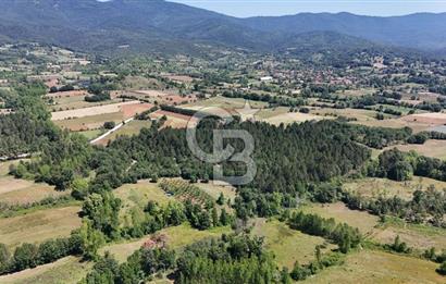 Çanakkale Yenice Aşağıçavuş Köyünde 5.101 M² Satılık Tarla !