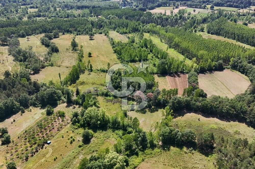 Çanakkale Yenice Aşağıçavuş Köyünde 5.101 M² Satılık Tarla !