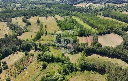 Çanakkale Yenice Aşağıçavuş Köyünde 5.101 M² Satılık Tarla !